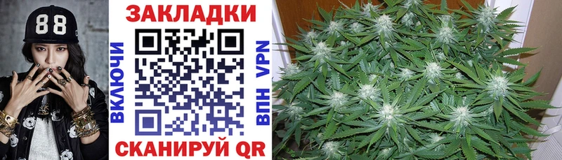 Магазины продажи наркотиков Чаплыгин Alpha PVP  Мефедрон  ГАШИШ 