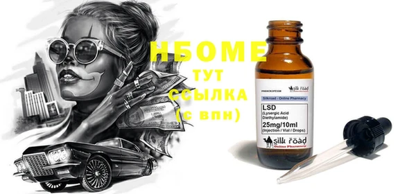 индика Алзамай