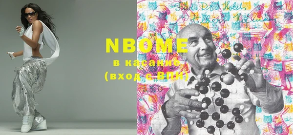 индика Алзамай
