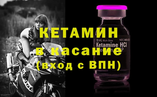 сатива Алексеевка