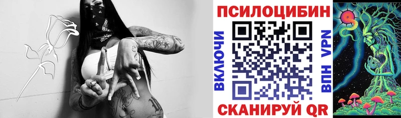 где продают наркотики  Чаплыгин  Псилоцибиновые грибы мухоморы 